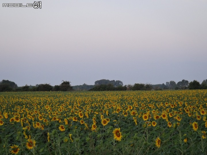 【獨．行】：2013年｜一個女生「西班牙800公里」朝聖之旅（20）