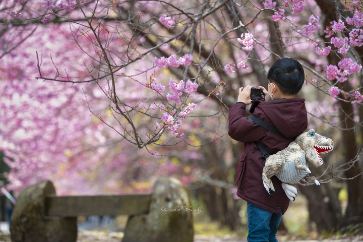 小黑Z (NIKKOR Z 70-200mm f/2.8 VR S) 與我同行的一年