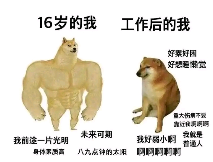 一代不如一代?
