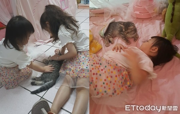 半夜醒來小貓消失了！回頭見嬰兒床「毛手勾孩」入睡身影萌翻