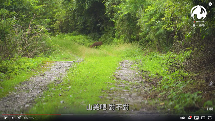 解封後最想去的地方