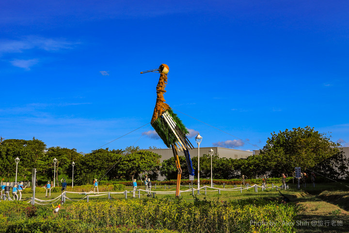 五股夏綠地 散步散好散滿好所在