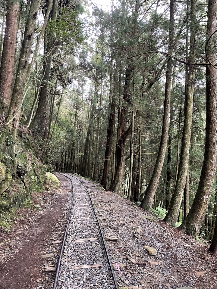 難度0.5顆星-特富野古道