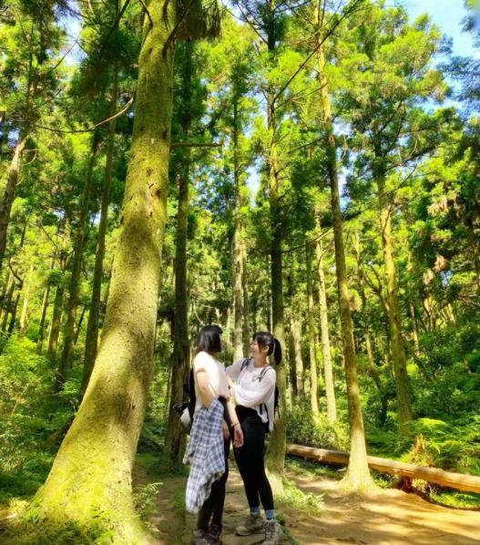 搭捷運公車爬山去，20條以上搭大眾運輸也能爬的登山路線(持續更新中)