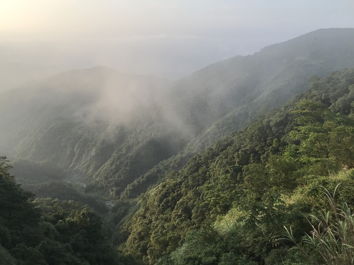 【末日騎士】 天生狂野 與獸同奔 生鬼止步