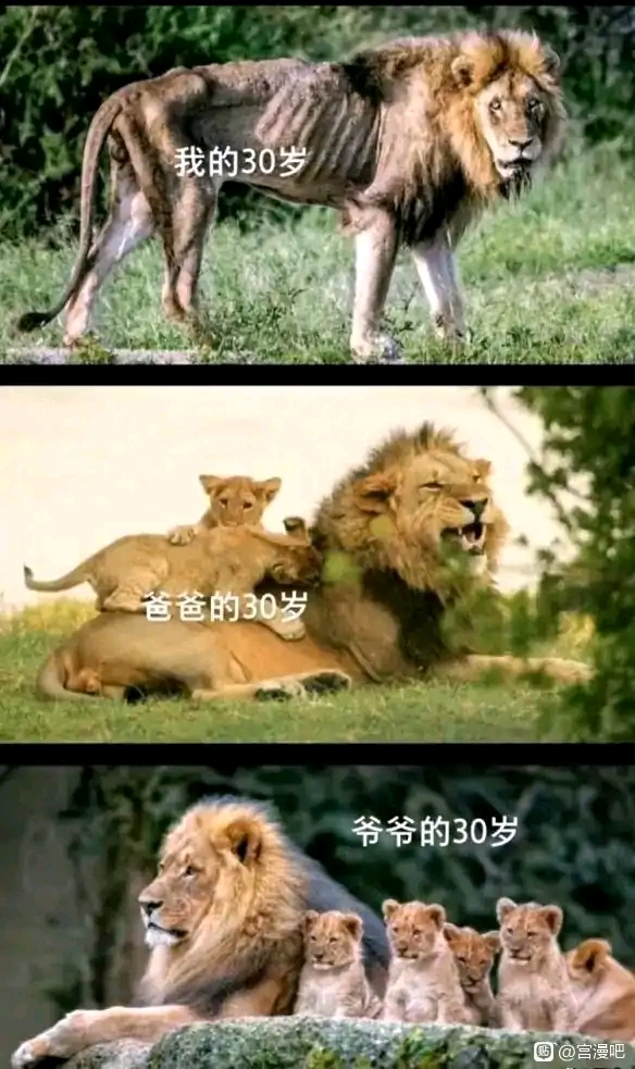 一代不如一代?