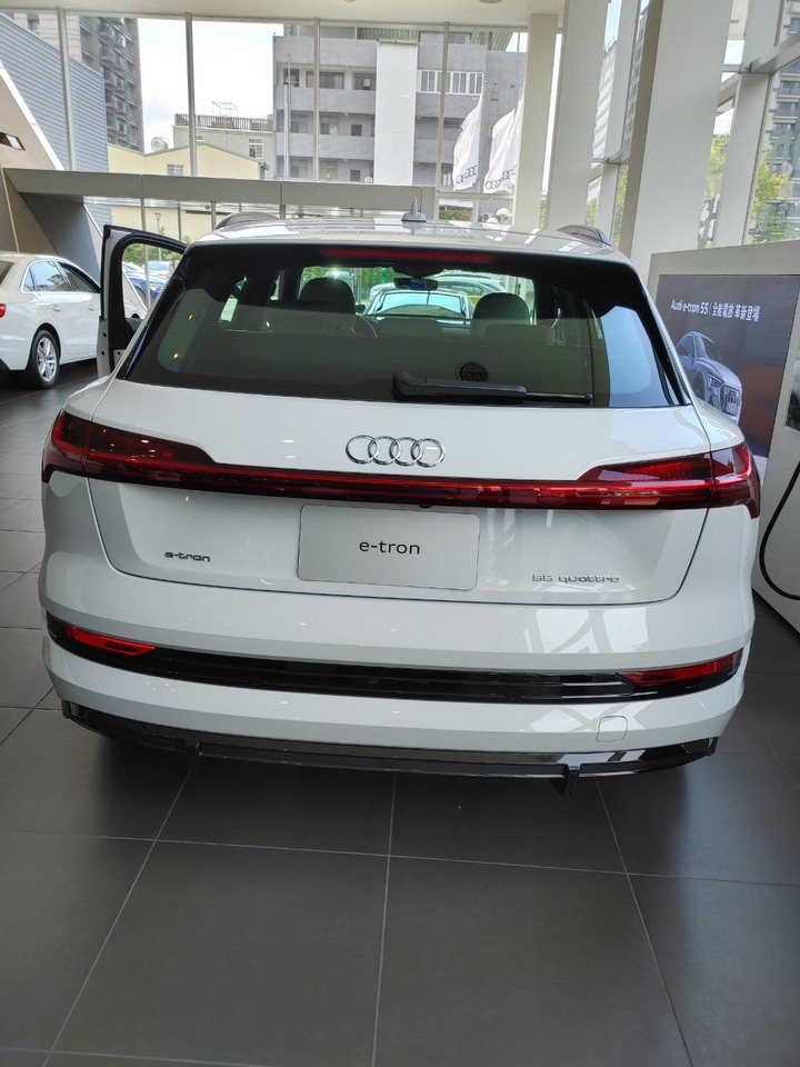 人生第一台歐洲車, Audi電動車