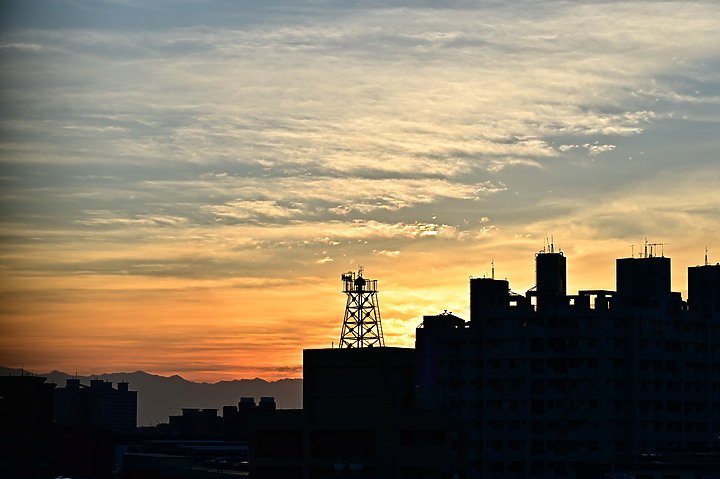 點我看大圖 Nikon MC 105mm F2.8 S開箱先拍鳥,幾乎無紫邊,讓拍攝上多更多的精采與美妙。
