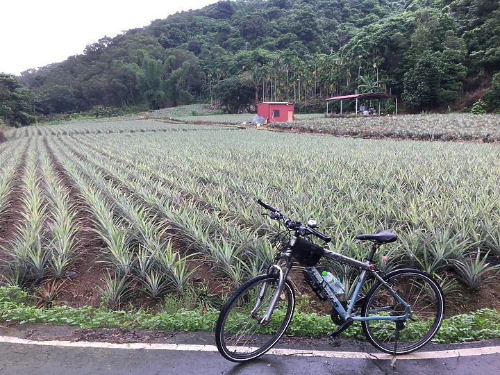 騎遊屏東三地門-安坡觀光自行車道