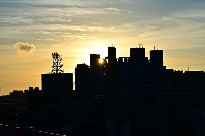 點我看大圖 Nikon MC 105mm F2.8 S開箱先拍鳥,幾乎無紫邊,讓拍攝上多更多的精采與美妙。