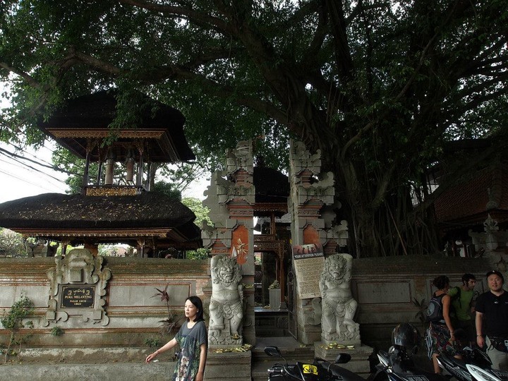 烏布美術館、皇宮與傳統市集、德哥拉朗梯田、Kuta海灘、蠟染村、南灣水上活動與海龜島 — 2014年印尼全覽七日遊 — 第二章 印尼的快樂天堂-峇里島(Bali)