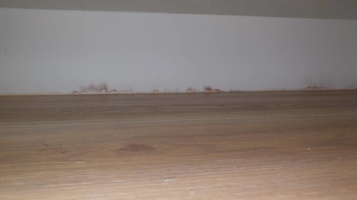 預售屋入住不到一年滲水求償和滲水原因