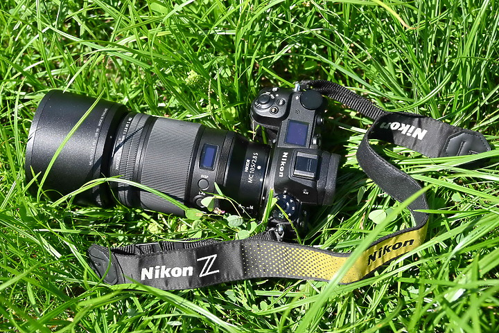 點我看大圖 Nikon MC 105mm F2.8 S開箱先拍鳥,幾乎無紫邊,讓拍攝上多更多的精采與美妙。