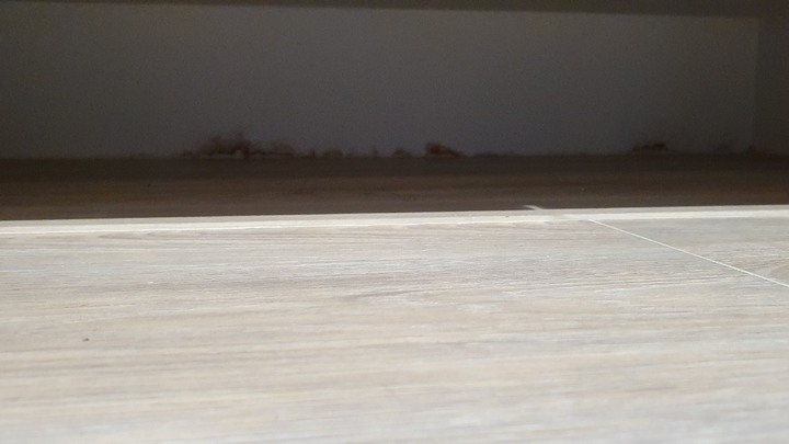 預售屋入住不到一年滲水求償和滲水原因