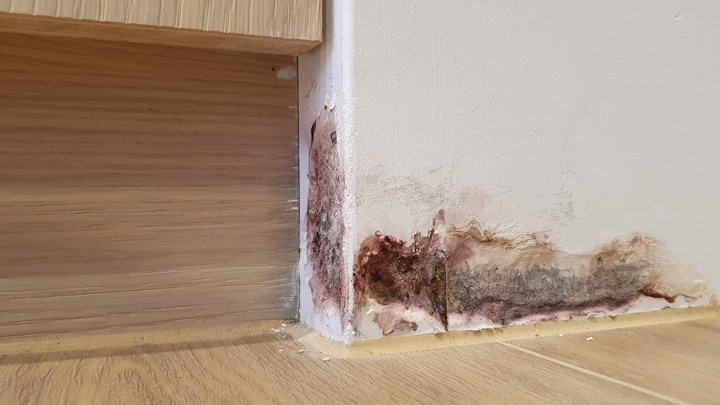 預售屋入住不到一年滲水求償和滲水原因