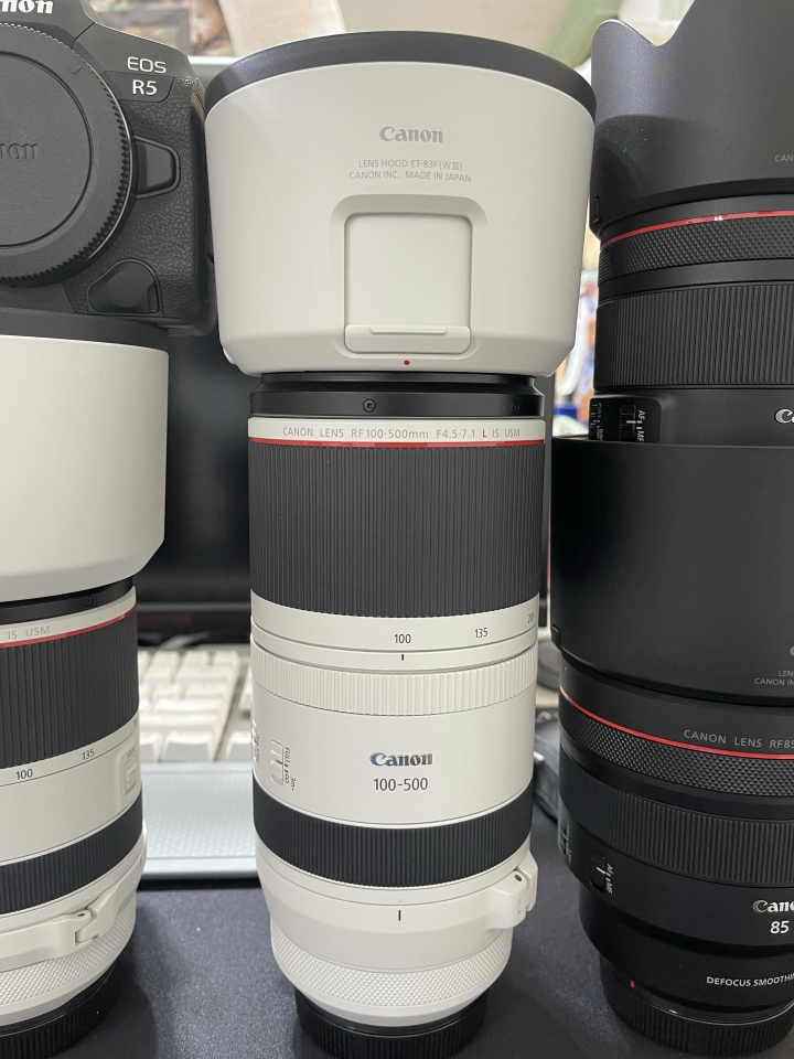 打掉重練的回佳路-從5D4到R5