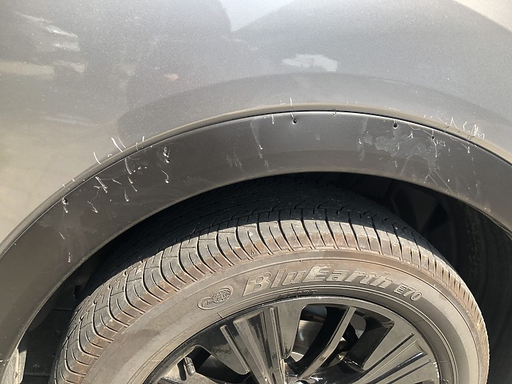 點我看大圖 EC硬梆梆不怕車碰車~但是怕惡犬啊