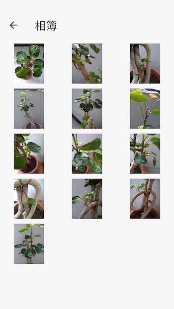 「我的小草日記 PlantDaily」App - 一起療癒的記錄小草成長吧！