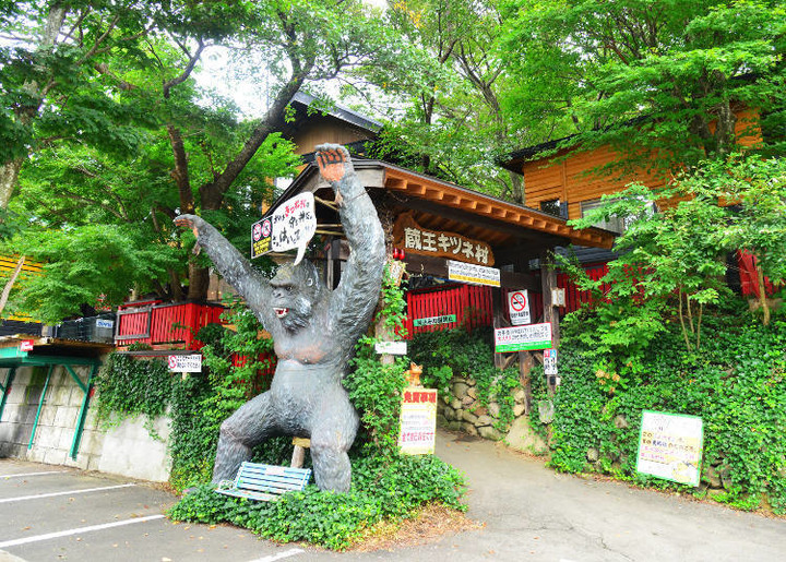 日本東北「藏王狐狸村」交通方式、推薦季節、抱狐狸體驗