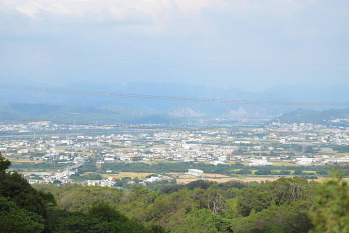 S步道|彰化|楓坑桐花步道|桐花綠樹瞭望田野|芬園鄉