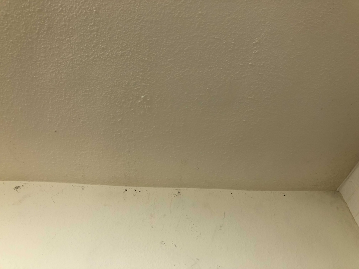 [心得］（已解決）bosch 28560TC 極端不愉快之購入開箱文