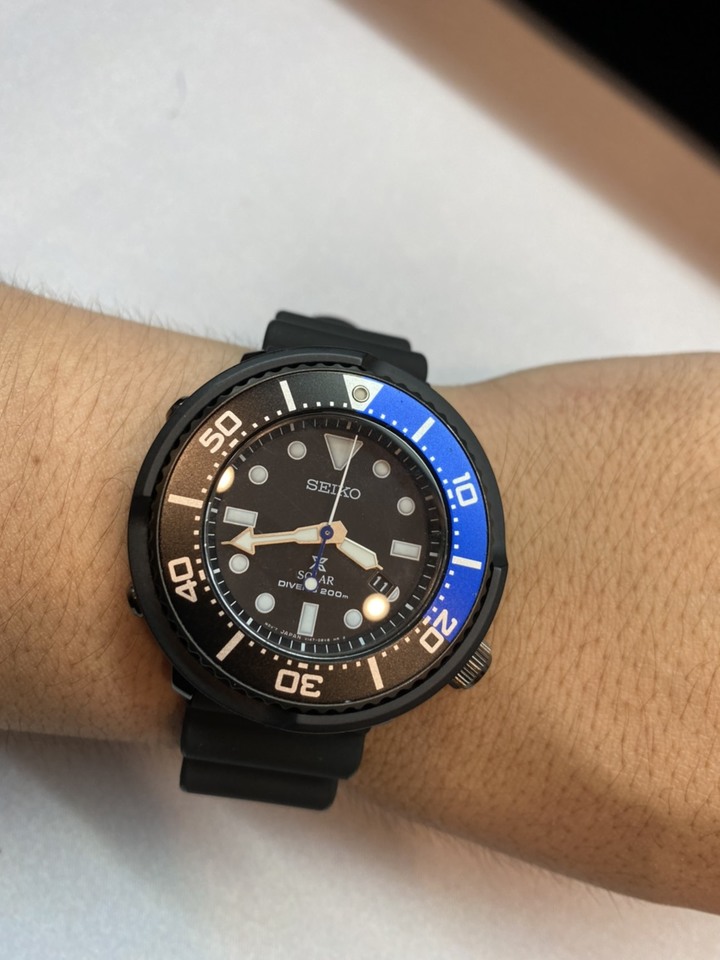 SBBN035 小鮪魚終究長大了 一起蓋個鮪魚樓