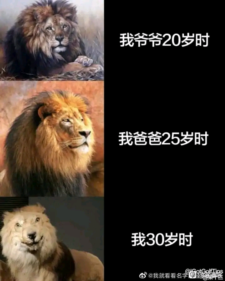 一代不如一代?