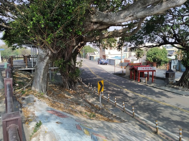 [佛教] 龍井大肚堤防自行車道上的奇異之事 (文長)