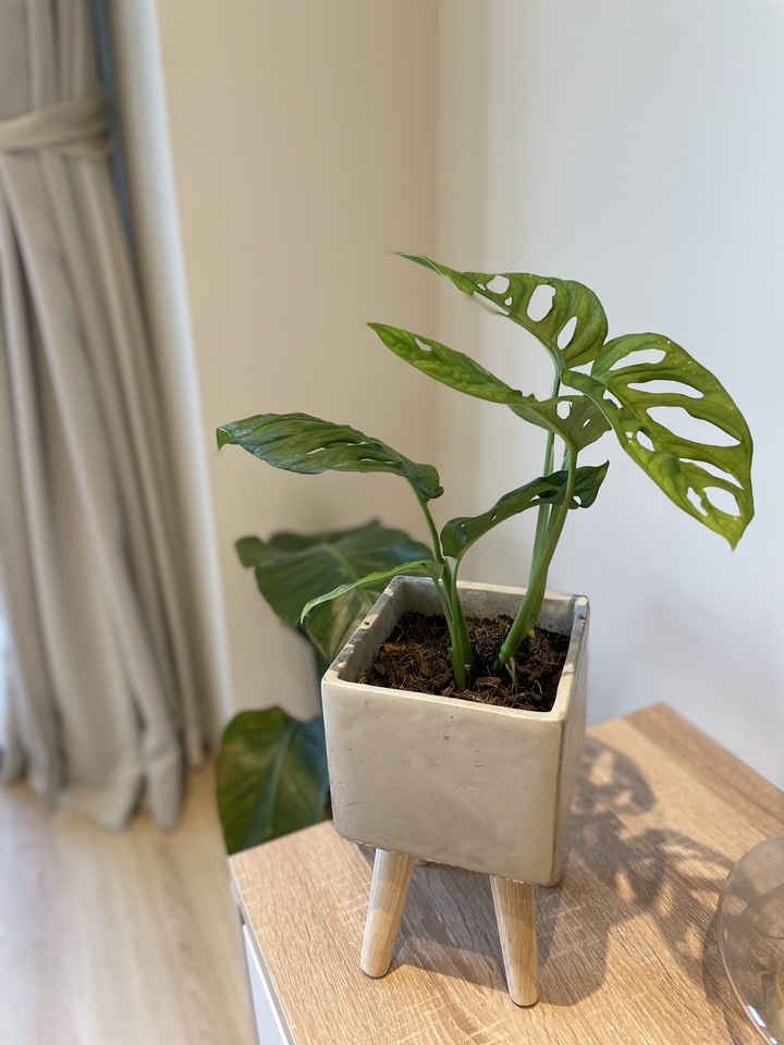 【開箱】實用乾淨的溫暖基底,成就最適合的家