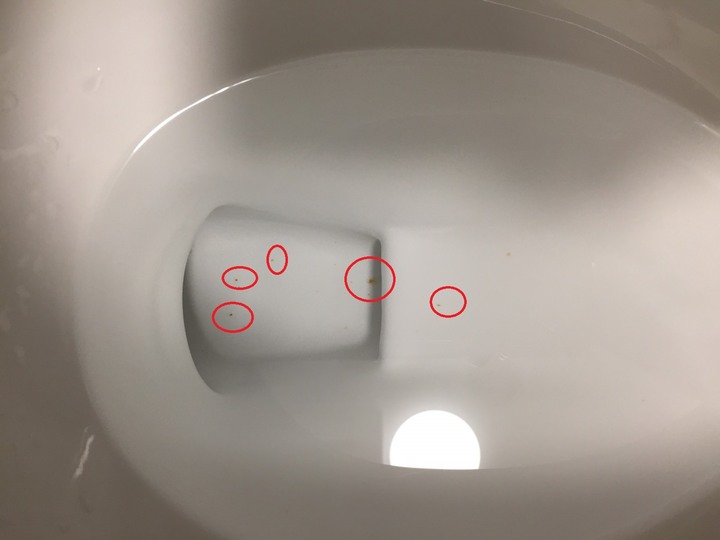 TOTO 水龍捲馬桶有像生鏽顏色的褐色斑點