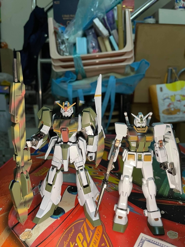 Entry grade RX 78-2 & Hg Z Gundam