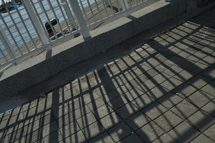 36年廣角變焦鏡【SIGMA ZOOM γ-Ⅱ 21-35mm f/3.5-4.2】