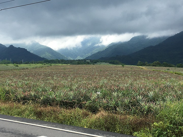 騎遊屏東三地門-安坡觀光自行車道