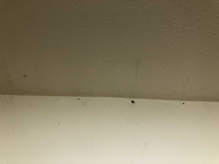 [心得］（已解決）bosch 28560TC 極端不愉快之購入開箱文