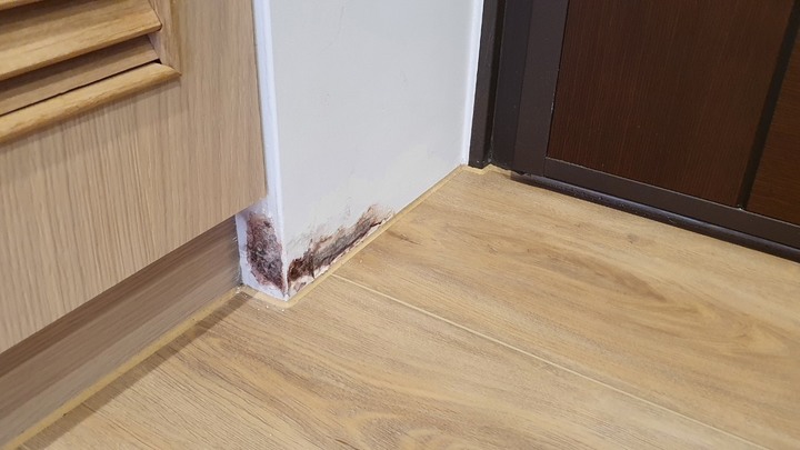 預售屋入住不到一年滲水求償和滲水原因