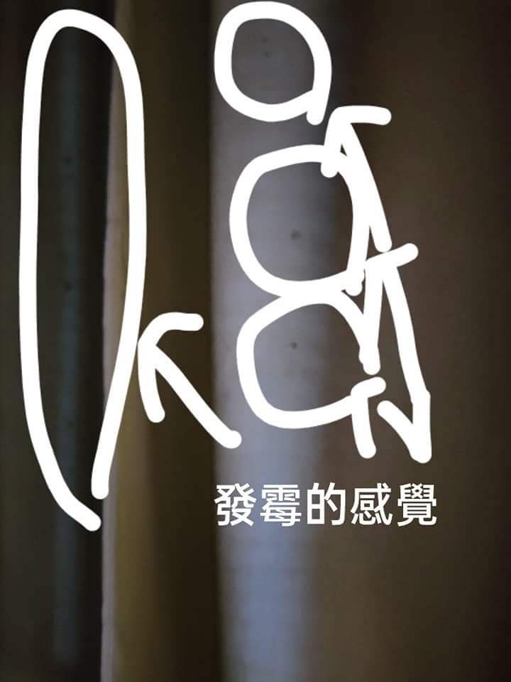 舊式落地窗滾輪