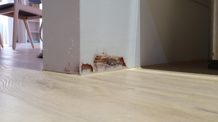 預售屋入住不到一年滲水求償和滲水原因