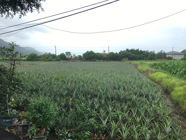 騎遊屏東三地門-安坡觀光自行車道