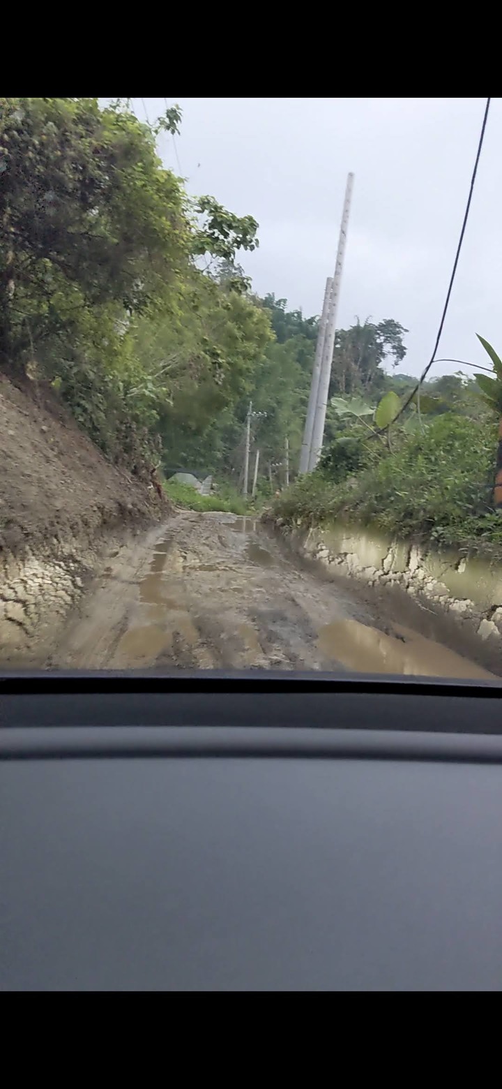 特斯拉勇闖中央山脈大縱走,電動車台灣切地瓜!