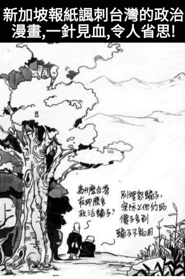 新加坡報紙諷刺台灣的政治 一針見血 發人深省 Mobile01