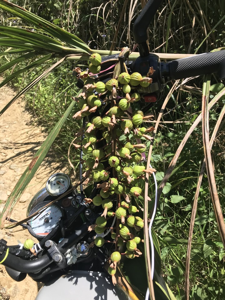 【末日騎士】宜蘭礦路農路保線路 ~鄒仔巡山誌 since 2000~