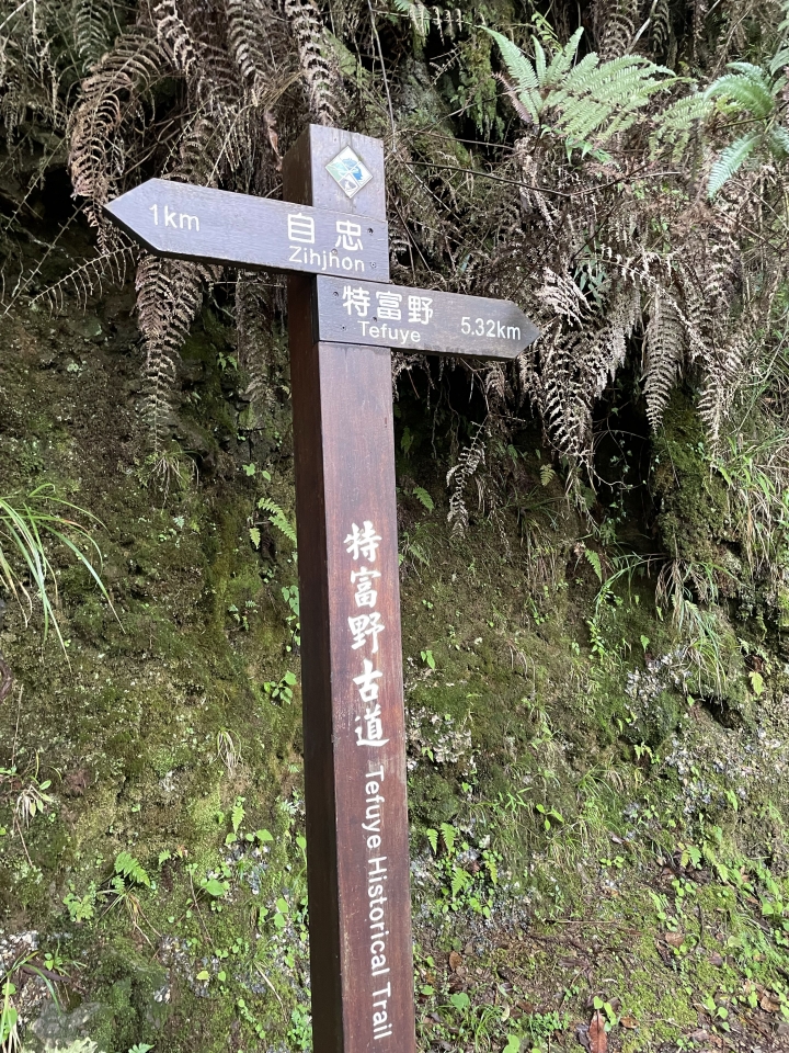難度0.5顆星-特富野古道