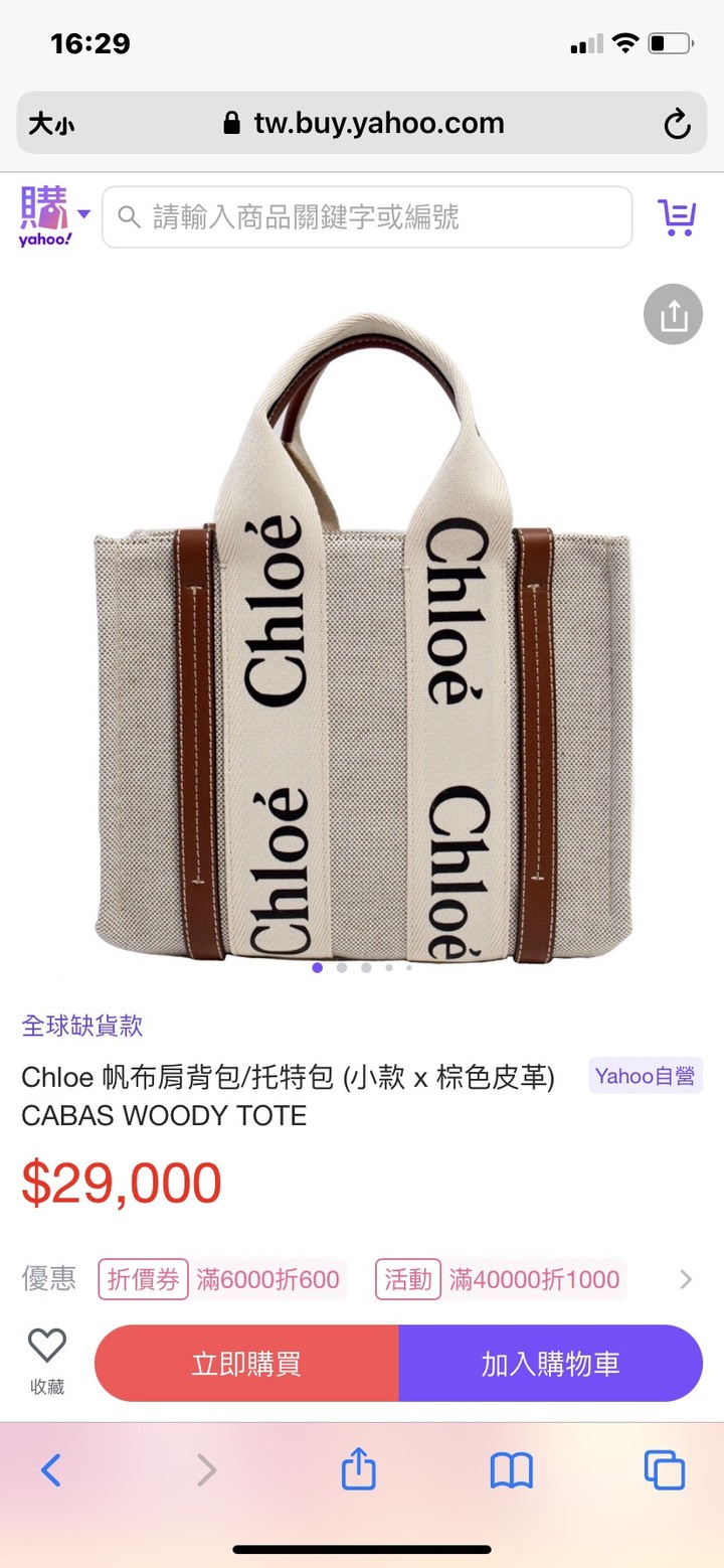 Chloé草編包選擇障礙