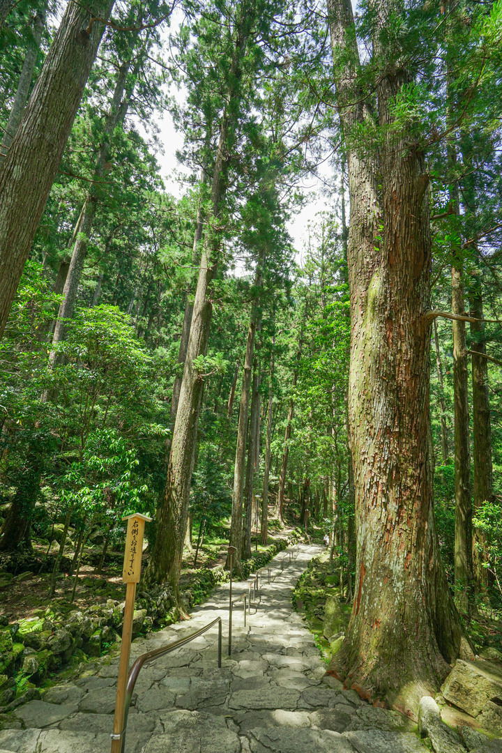 紀伊半島自駕遊-世界遺產巡禮2/4(本州最南端、潮岬、熊野古道、那智瀑布、日本第一大鳥居、伊勢神宮、夫妻岩)