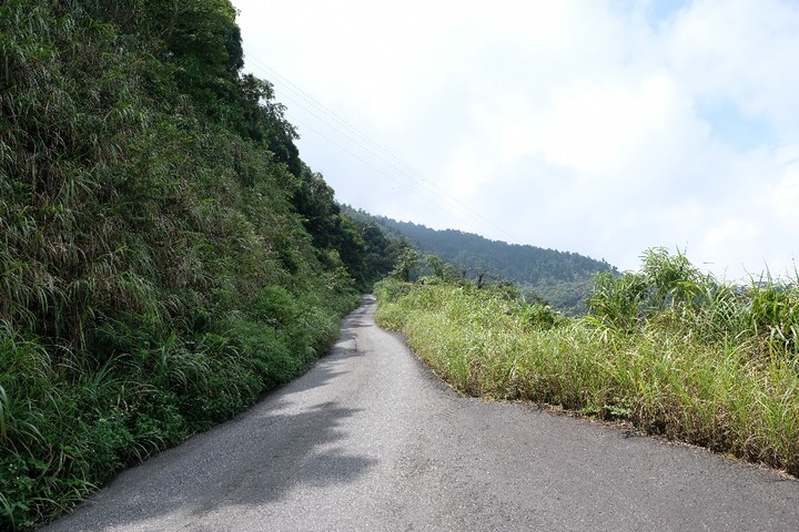 Forester解封後小出遊:安平坑林道初探