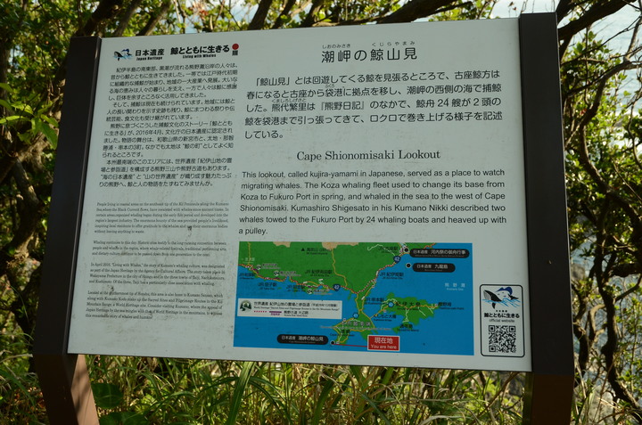 2019紀伊半島自駕遊-世界遺產巡禮1/4(本州最南端、潮岬、熊野古道、那智瀑布、日本第一大鳥居、伊勢神宮、夫妻岩)