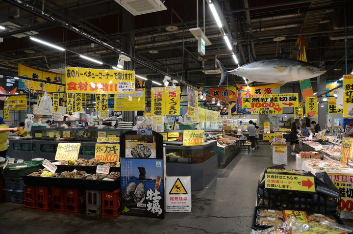 2019紀伊半島自駕遊-世界遺產巡禮1/4(本州最南端、潮岬、熊野古道、那智瀑布、日本第一大鳥居、伊勢神宮、夫妻岩)