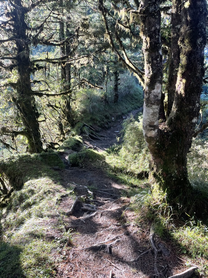 點我看大圖 被悶壞的半日包場南湖大山第一人稱POV SKYRunning