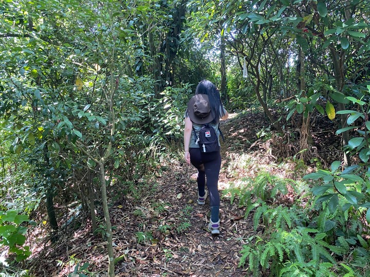 台北信義|四獸山.虎山、豹山、獅山、象山,兩小時輕鬆抓獸去