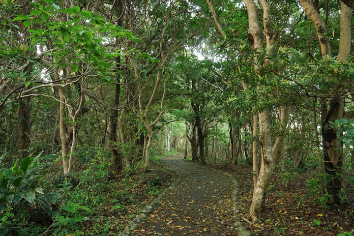 2019紀伊半島自駕遊-世界遺產巡禮1/4(本州最南端、潮岬、熊野古道、那智瀑布、日本第一大鳥居、伊勢神宮、夫妻岩)